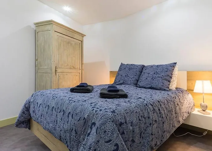 Appt 4 Pers Centre 300m Petite Venise 公寓 科尔马