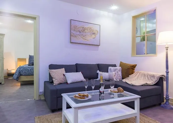 Appt 4 Pers Centre 300m Petite Venise *