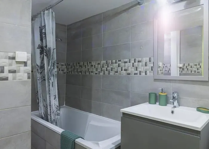 Appt 4 Pers Centre 300m Petite Venise * 科尔马